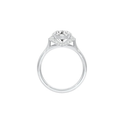 DLR001557 18 KT / White Gold / 22