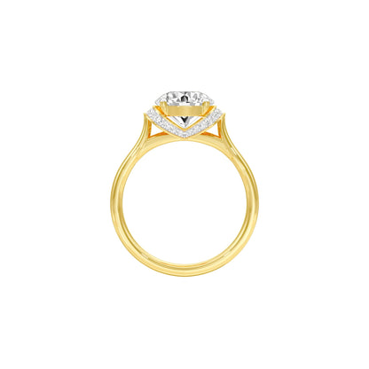 DLR001557 18 KT / Yellow Gold / 22