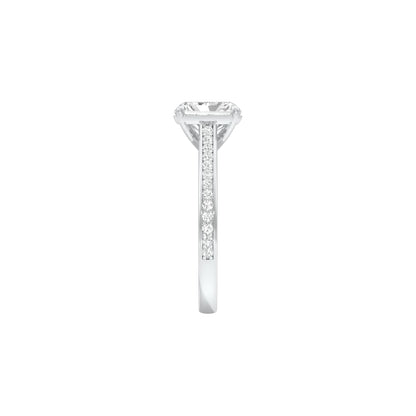 DLR001558 18 KT / White Gold / 22