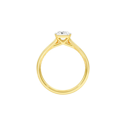 DLR001558 18 KT / Yellow Gold / 22