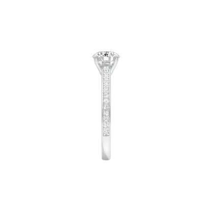 DLR001559 18 KT / White Gold / 22