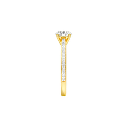 DLR001559 18 KT / Yellow Gold / 22
