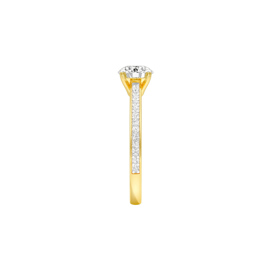 DLR001559 18 KT / Yellow Gold / 22