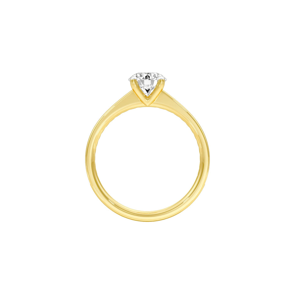 DLR001559 18 KT / Yellow Gold / 22
