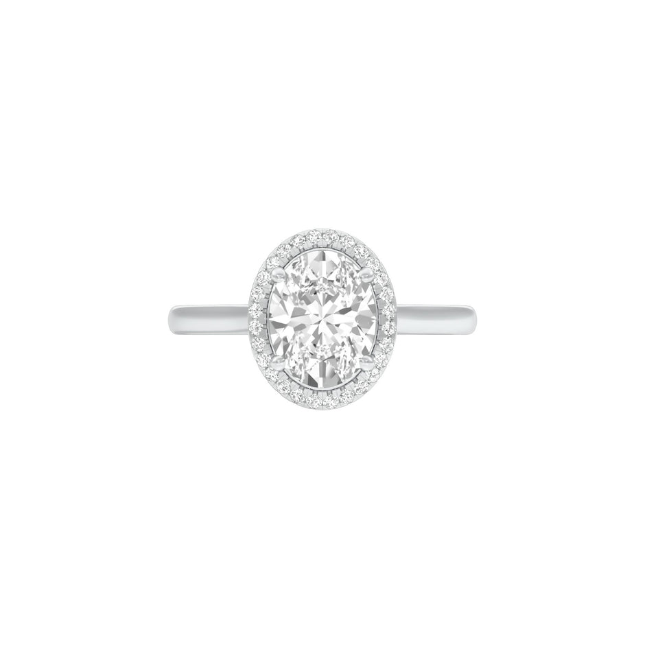 DLR001561 18 KT / White Gold / 22