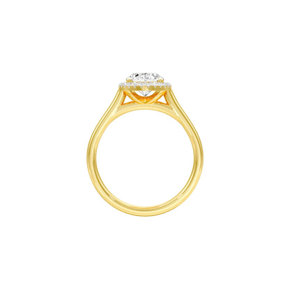 DLR001561 18 KT / Yellow Gold / 22