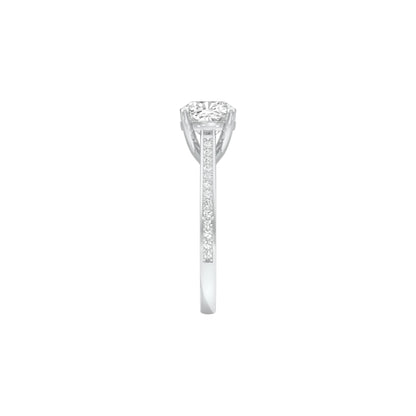 DLR001564 18 KT / White Gold / 22