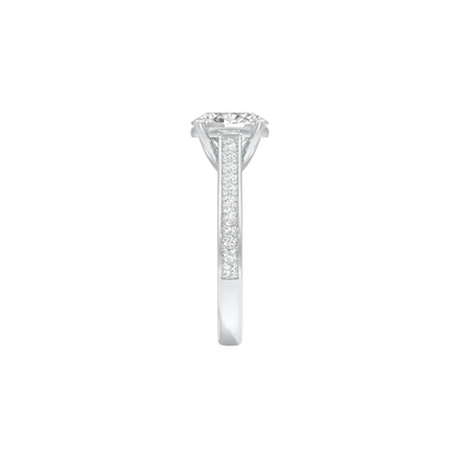 DLR001566 18 KT / White Gold / 22