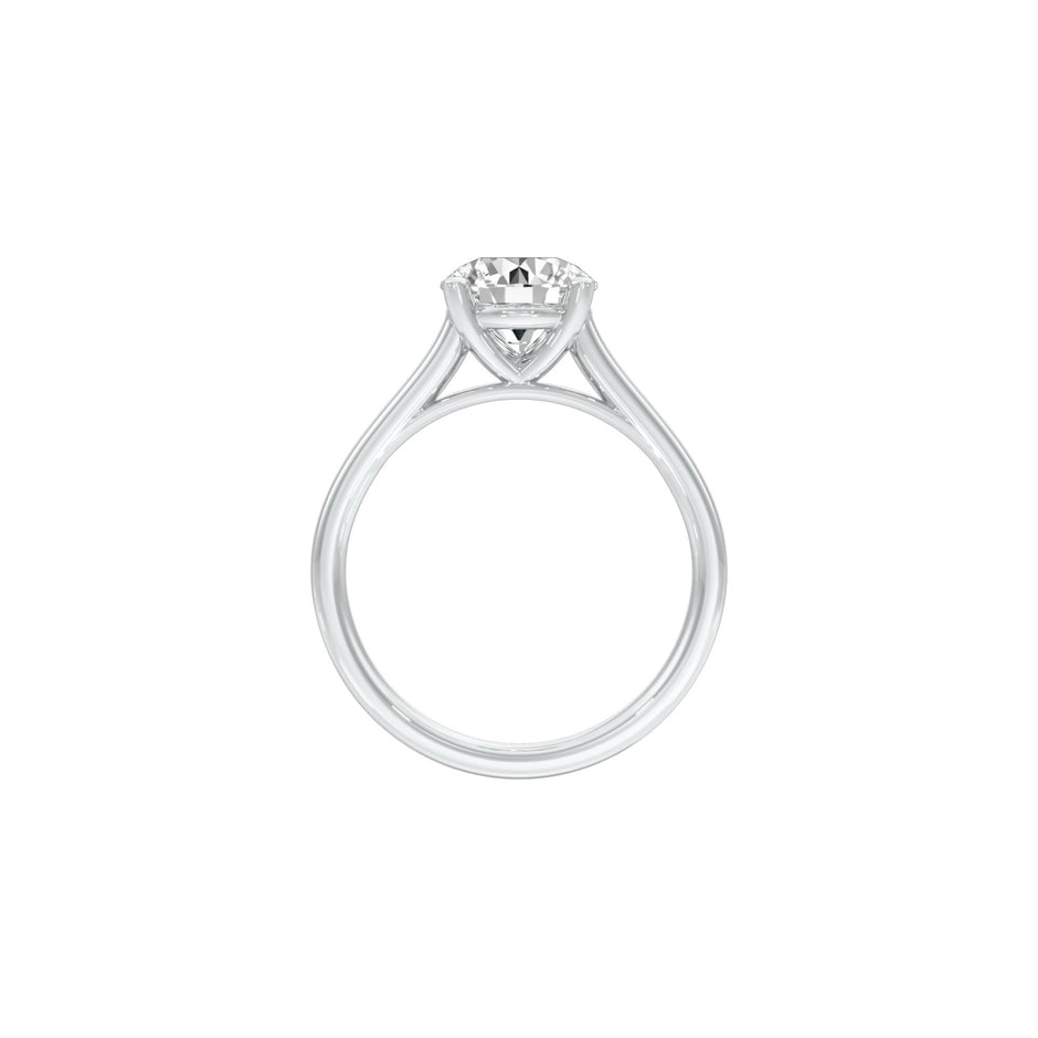DLR001568 18 KT / White Gold / 22