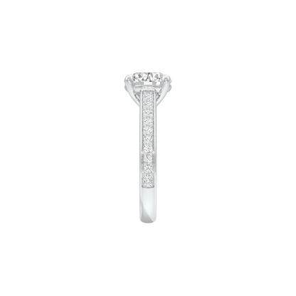 DLR001571 18 KT / White Gold / 22