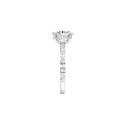 DLR001575 18 KT / White Gold / 22