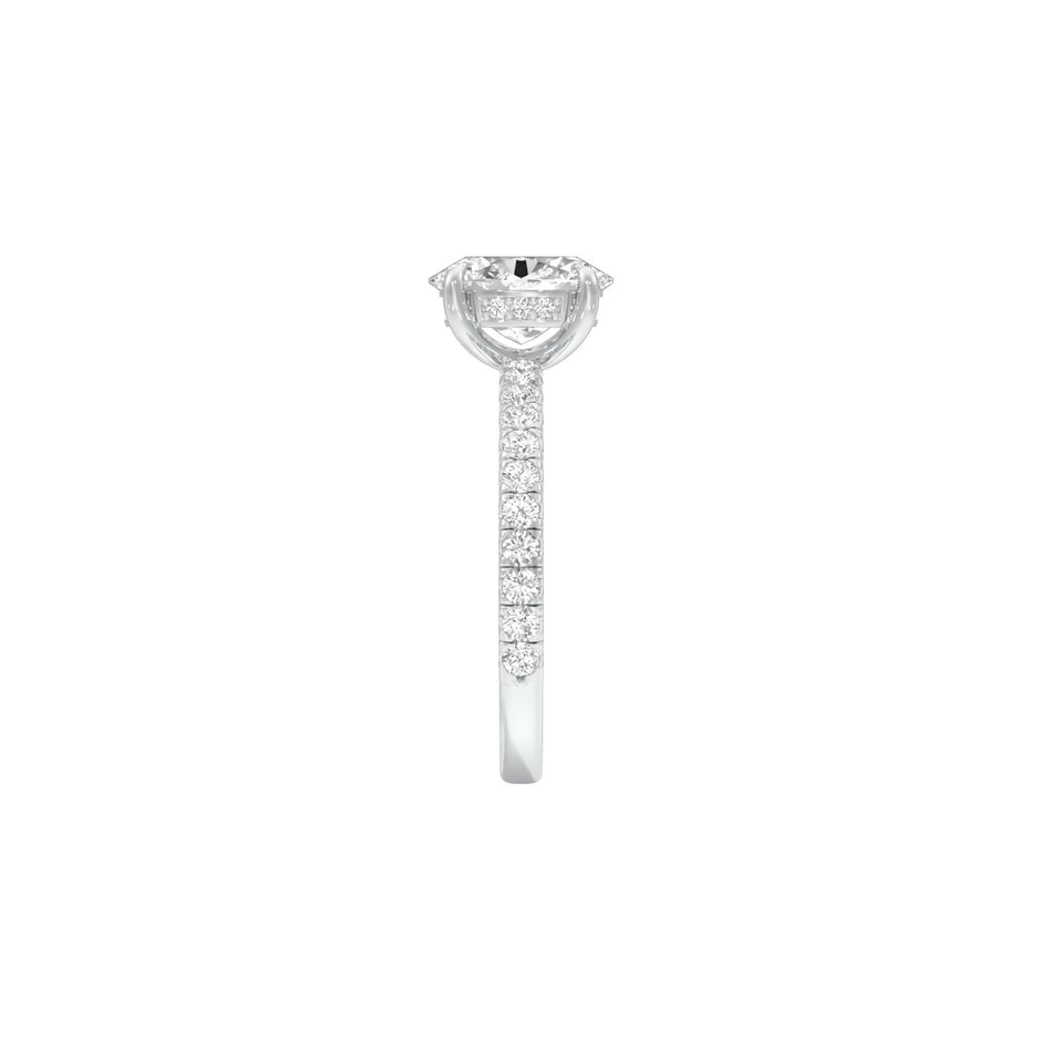 DLR001575 18 KT / White Gold / 22