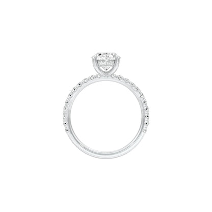 DLR001575 18 KT / White Gold / 22