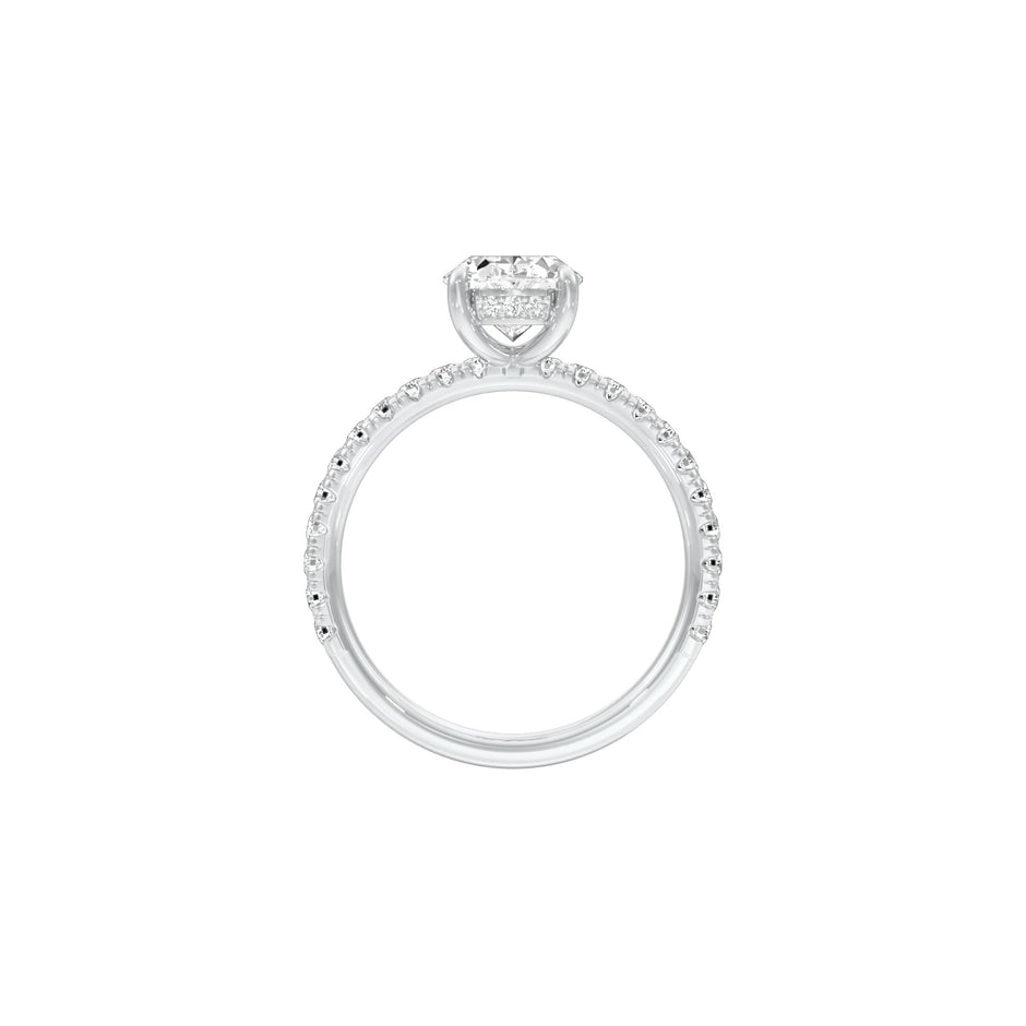 DLR001575 18 KT / White Gold / 22