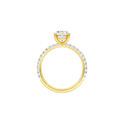 DLR001575 18 KT / Yellow Gold / 22