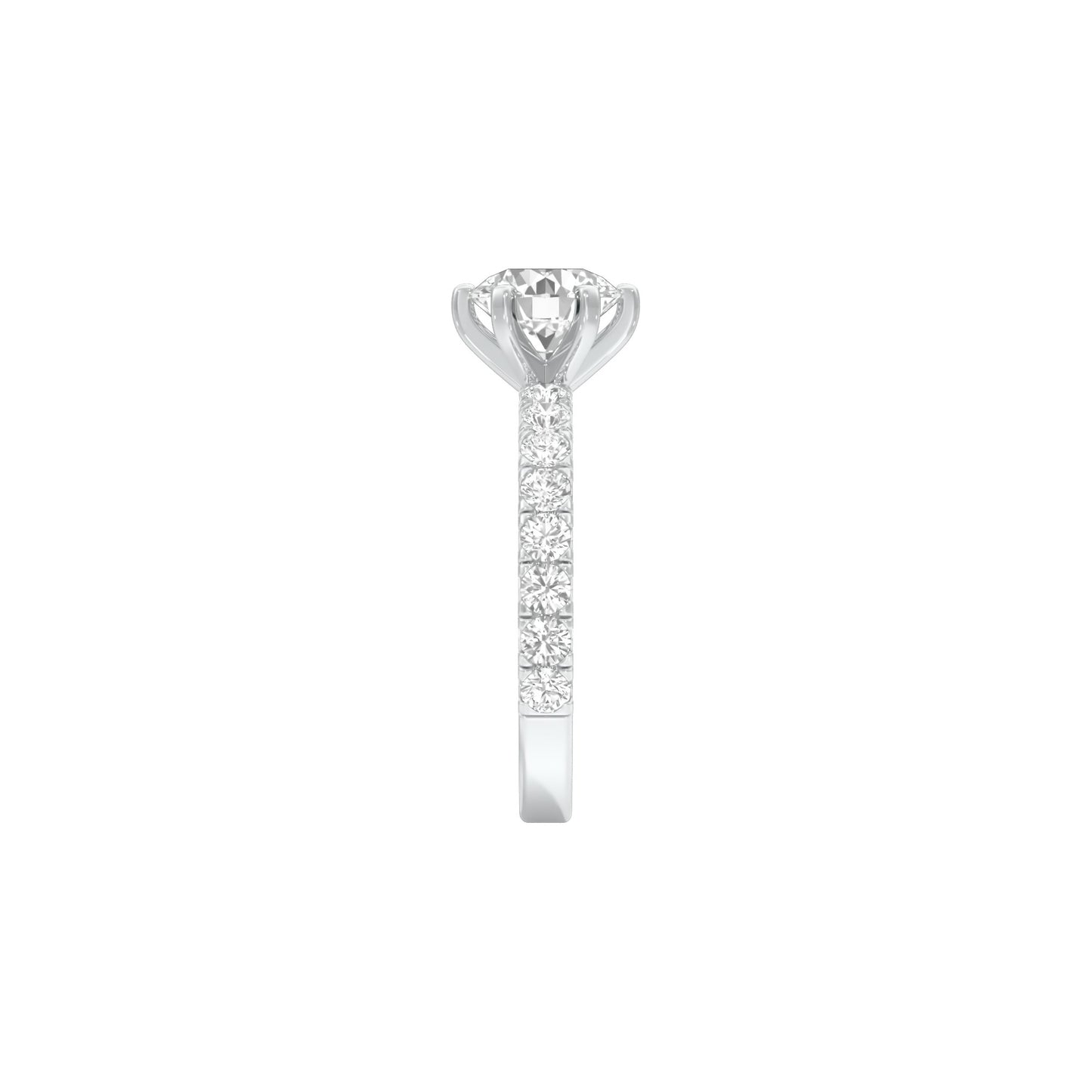 DLR001697 18 KT / White Gold / 22