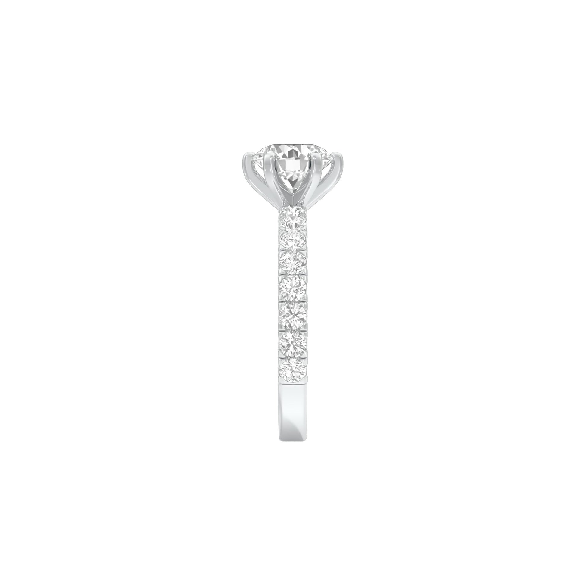 DLR001697 18 KT / White Gold / 22