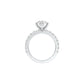 DLR001697 18 KT / White Gold / 22