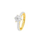 DLR001697 18 KT / Yellow Gold / 22