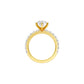 DLR001697 18 KT / Yellow Gold / 22