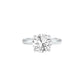 DLR001699 18 KT / White Gold / 22