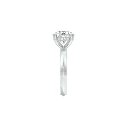 DLR001699 18 KT / White Gold / 22