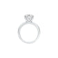 DLR001699 18 KT / White Gold / 22