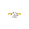 DLR001699 18 KT / Yellow Gold / 22