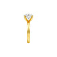 DLR001699 18 KT / Yellow Gold / 22