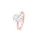 DLR001703 18 KT / Rose Gold / 22