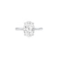 DLR001703 18 KT / White Gold / 22