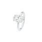 DLR001703 18 KT / White Gold / 22