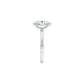 DLR001703 18 KT / White Gold / 22