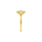 DLR001703 18 KT / Yellow Gold / 22