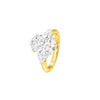 DLR001704 18 KT / Yellow Gold / 22