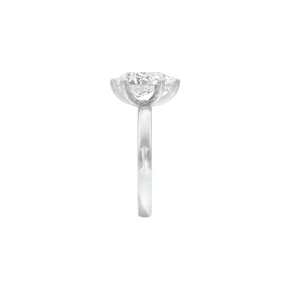 DLR001705 18 KT / White Gold / 22