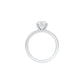 DLR001705 18 KT / White Gold / 22