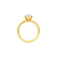 DLR001705 18 KT / Yellow Gold / 22