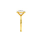 DLR001708 18 KT / Yellow Gold / 22