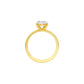 DLR001708 18 KT / Yellow Gold / 22
