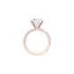 DLR001711 18 KT / Rose Gold / 22