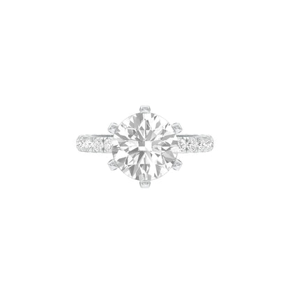 DLR001711 18 KT / White Gold / 22
