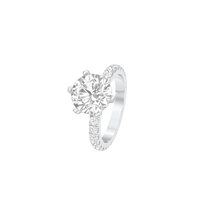 DLR001711 18 KT / White Gold / 22
