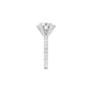 DLR001711 18 KT / White Gold / 22