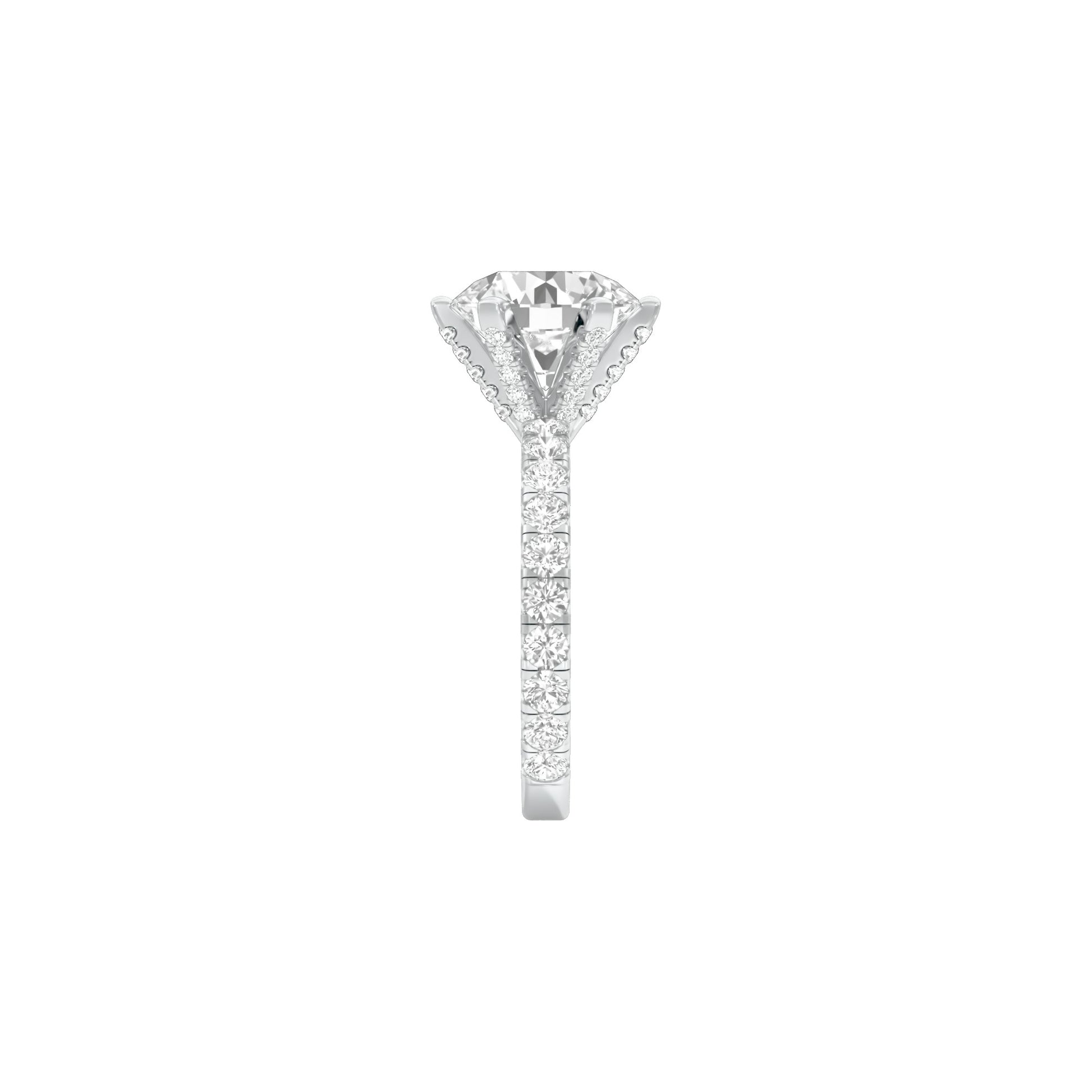 DLR001711 18 KT / White Gold / 22