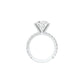 DLR001711 18 KT / White Gold / 22