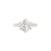 DLR001711 18 KT / Yellow Gold / 22