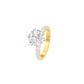DLR001711 18 KT / Yellow Gold / 22