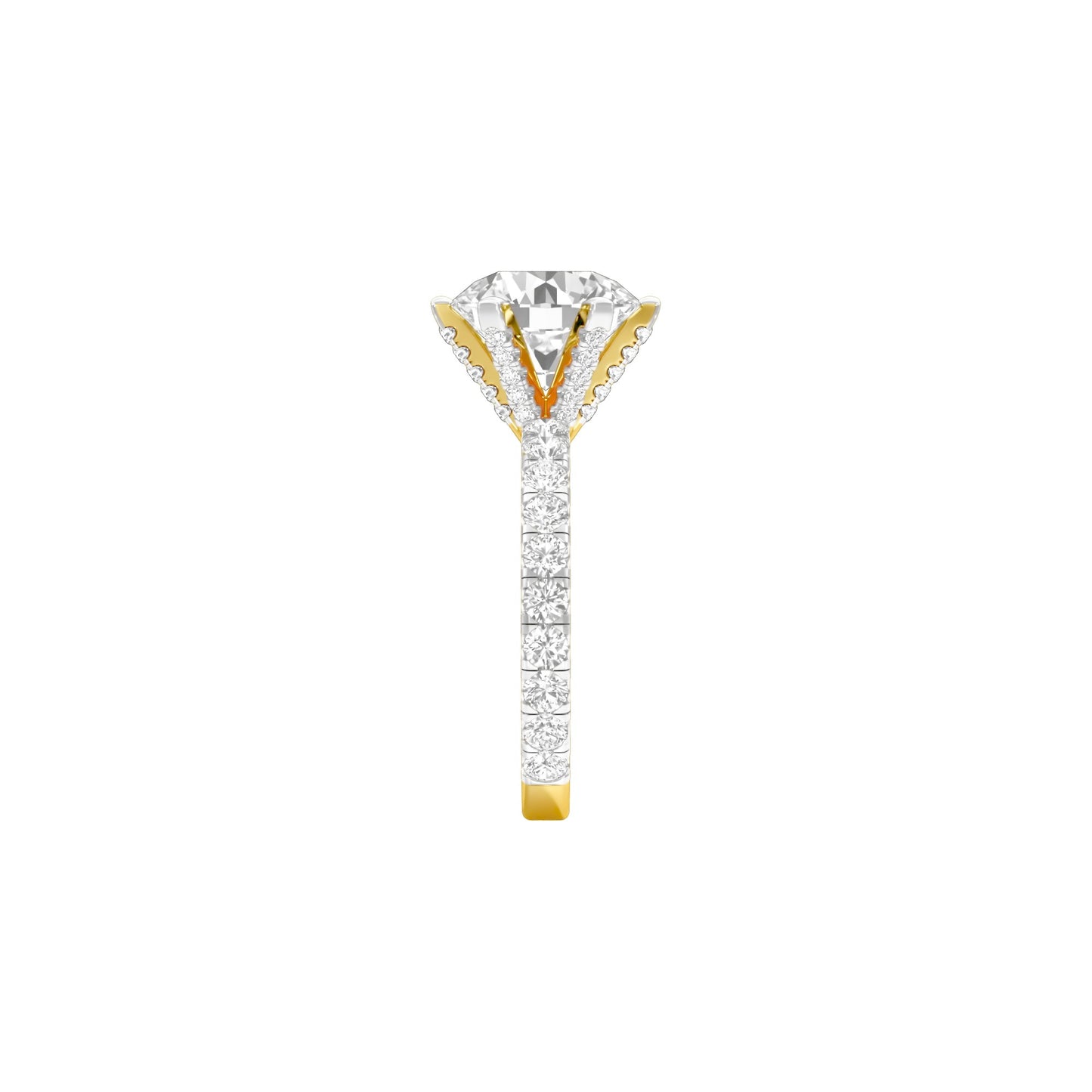 DLR001711 18 KT / Yellow Gold / 22
