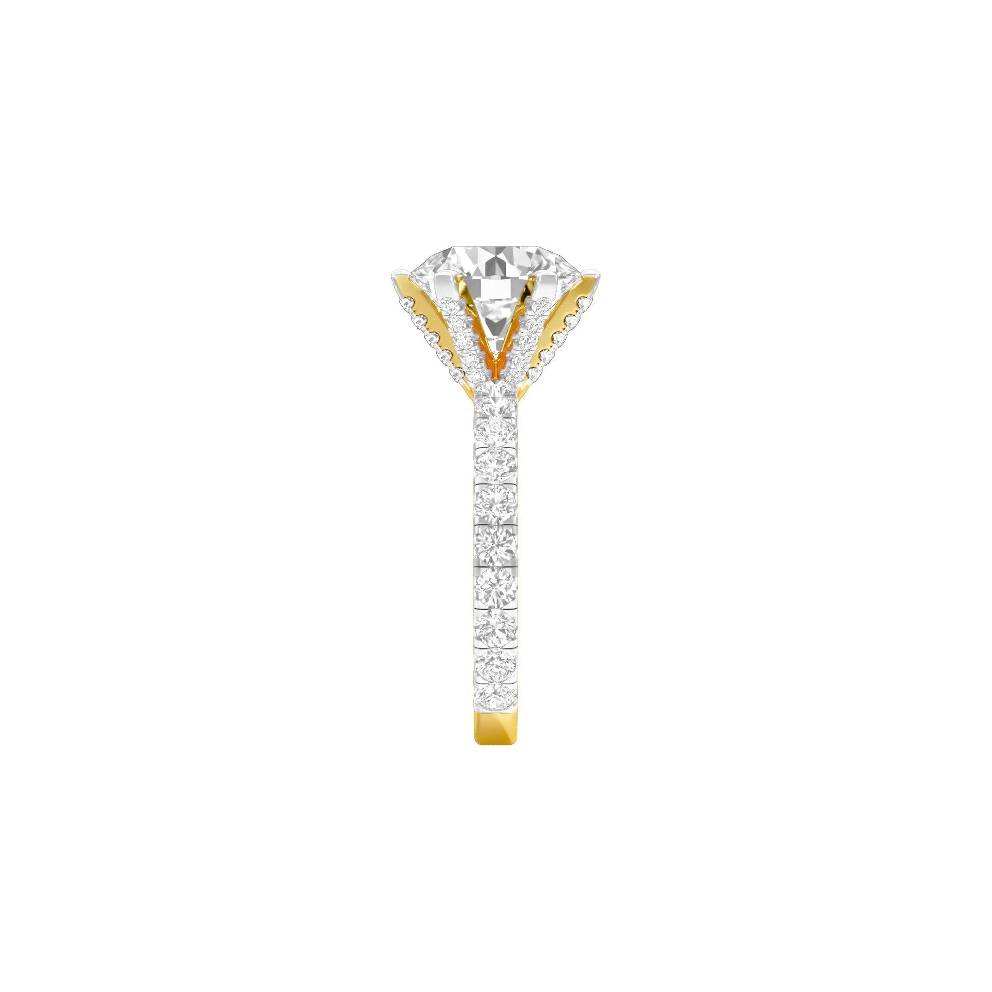 DLR001711 18 KT / Yellow Gold / 22